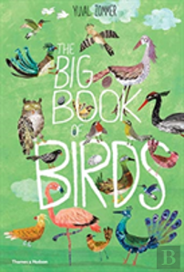 The Big Book Of Birds