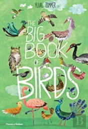 The Big Book Of Birds