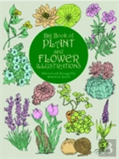 The Big Book Of Plant And Flower Illustrations
