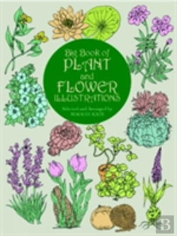 Bertrand.pt - The Big Book Of Plant And Flower Illustrations