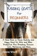 The Big Book Of Raising Chickens For Beginners