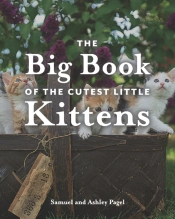 The Big Book Of The Cutest Little Kittens