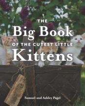 The Big Book Of The Cutest Little Kittens