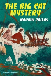 The Big Cat Mystery
