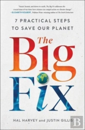 The Big Fix