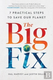 The Big Fix