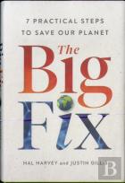 The Big Fix