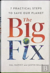 The Big Fix