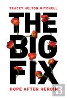 The Big Fix