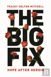 The Big Fix