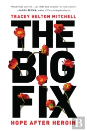 The Big Fix