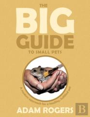 The Big Guide To Small Pets