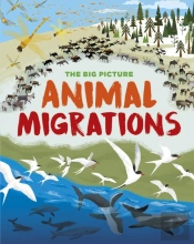 The Big Picture: Animal Migrations