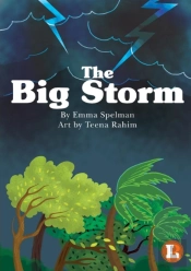 The Big Storm