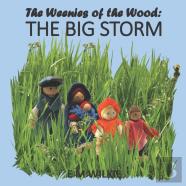 The Big Storm