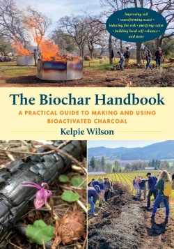 Bertrand.pt - The Biochar Handbook