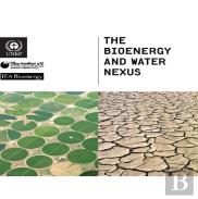 The Bioenergy And Water Nexus