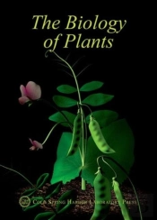 The Biology Of Plants