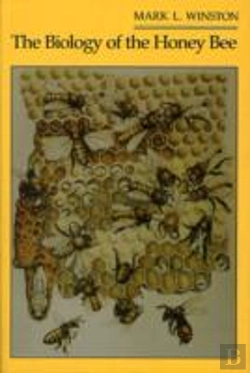 Bertrand.pt - The Biology Of The Honey Bee