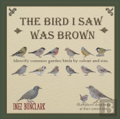 The Bird I Saw Was Brown