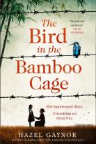 The Bird in the Bamboo Cage