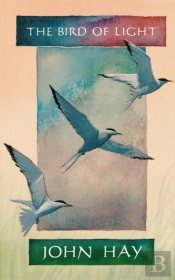 The Bird Of Light