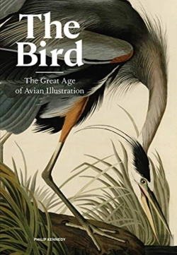 Bertrand.pt - The Bird