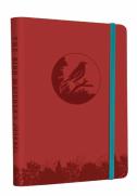 The Bird Watcher'S Journal