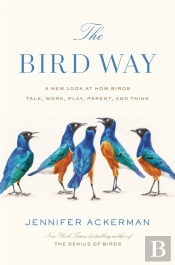 The Bird Way