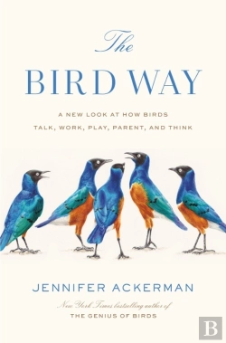 Bertrand.pt - The Bird Way