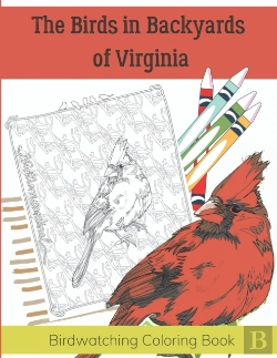 Bertrand.pt - The Birds In Backyards Of Virginia