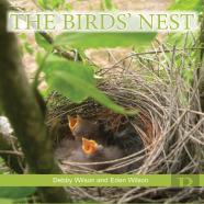 The Birds' Nest