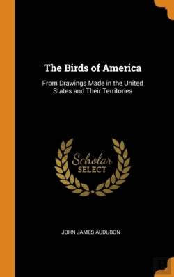Bertrand.pt - The Birds Of America