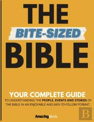 The Bite-Sized Bible
