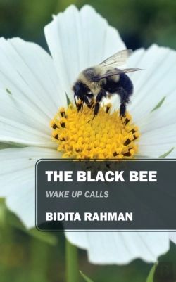 Bertrand.pt - The Black Bee