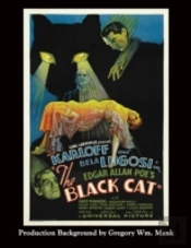 The Black Cat