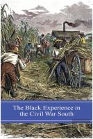The Black Experience In The Civil War South