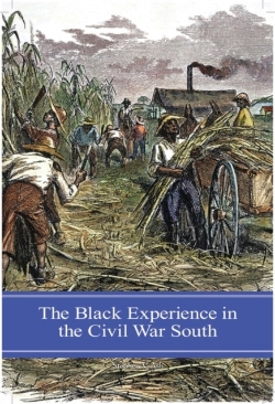 Bertrand.pt - The Black Experience In The Civil War South