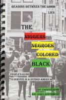 The Black People'S Guide To Survive In A Divided America