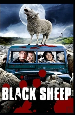 Bertrand.pt - The Black Sheep