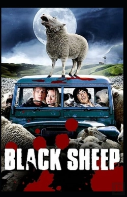 Bertrand.pt - The Black Sheep