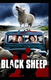 The Black Sheep; Illustrated