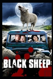 The Black Sheep Illustrated
