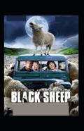 The Black Sheep Illustrated