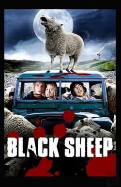 Bertrand.pt - The Black Sheepn; Illustrated Edition