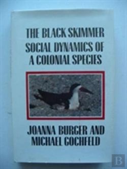 Bertrand.pt - The Black Skimmer