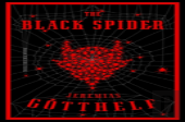 The Black Spider