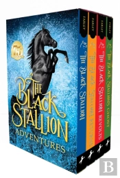 The Black Stallion Adventures