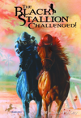 The Black Stallion Challenged