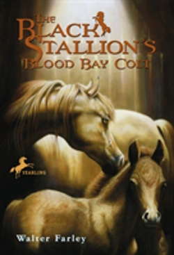 Bertrand.pt - The Black Stallion'S Blood Bay Colt